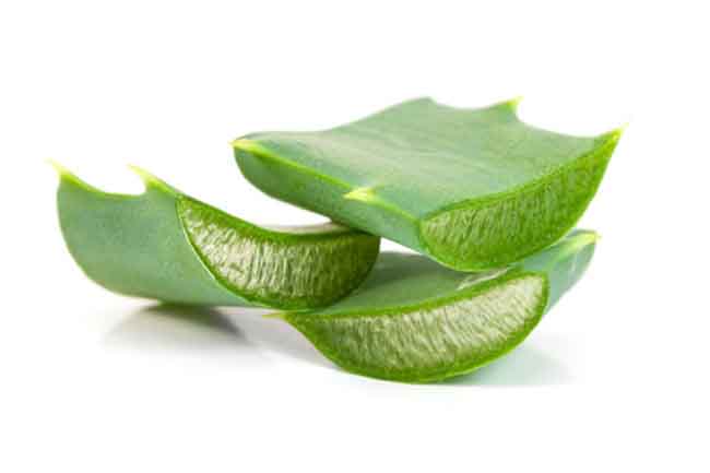 Aloe Vera Gel
